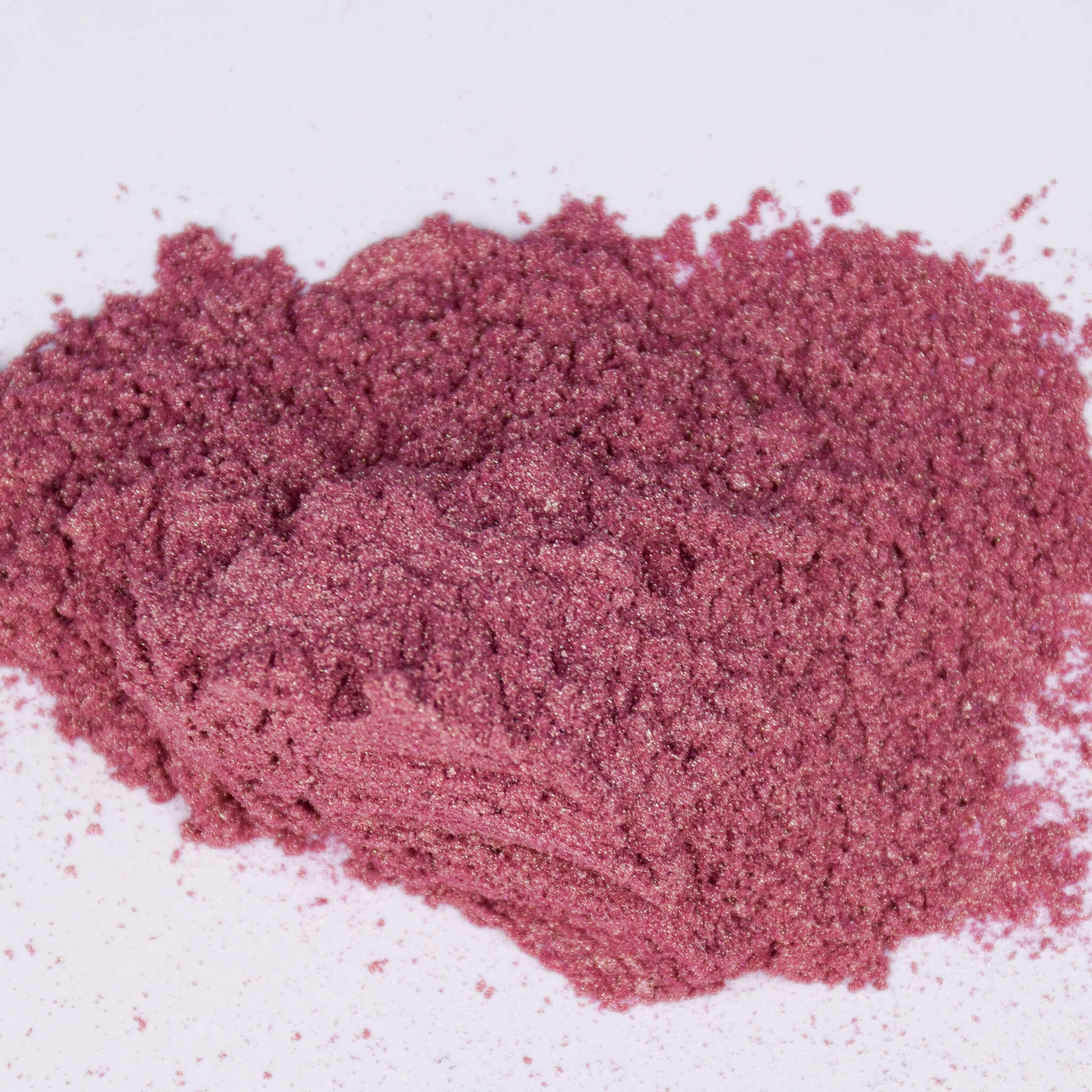 Rose Électrique (CDM-1008)